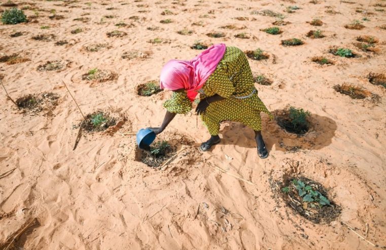 Terrorismo e suas repercussões no acesso à água no Sahel