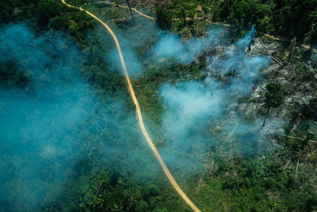 ENTREVISTA: Caio Pompeia – Como a articulação entre agronegócio e Congresso atua para garantir o retrocesso na legislação socioambiental do Brasil