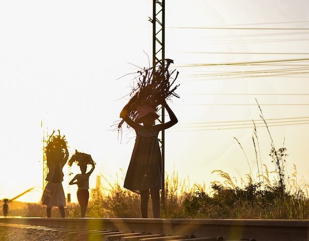 As avós do Zimbábue estão ajudando a preservar os alimentos durante quedas de energia