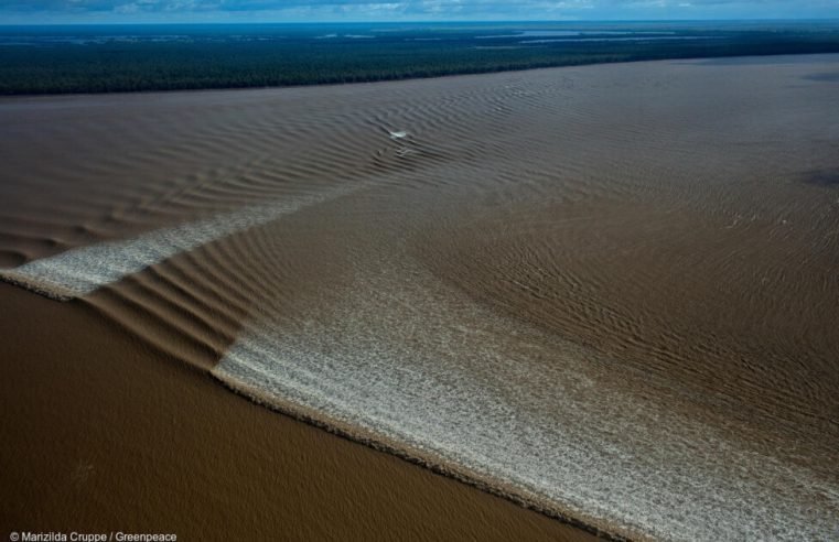 Petróleo e parlamento encurralam política ambiental no Brasil