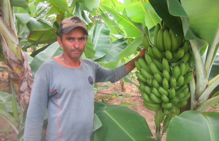 Captação de água impulsiona agricultura no semiárido brasileiro