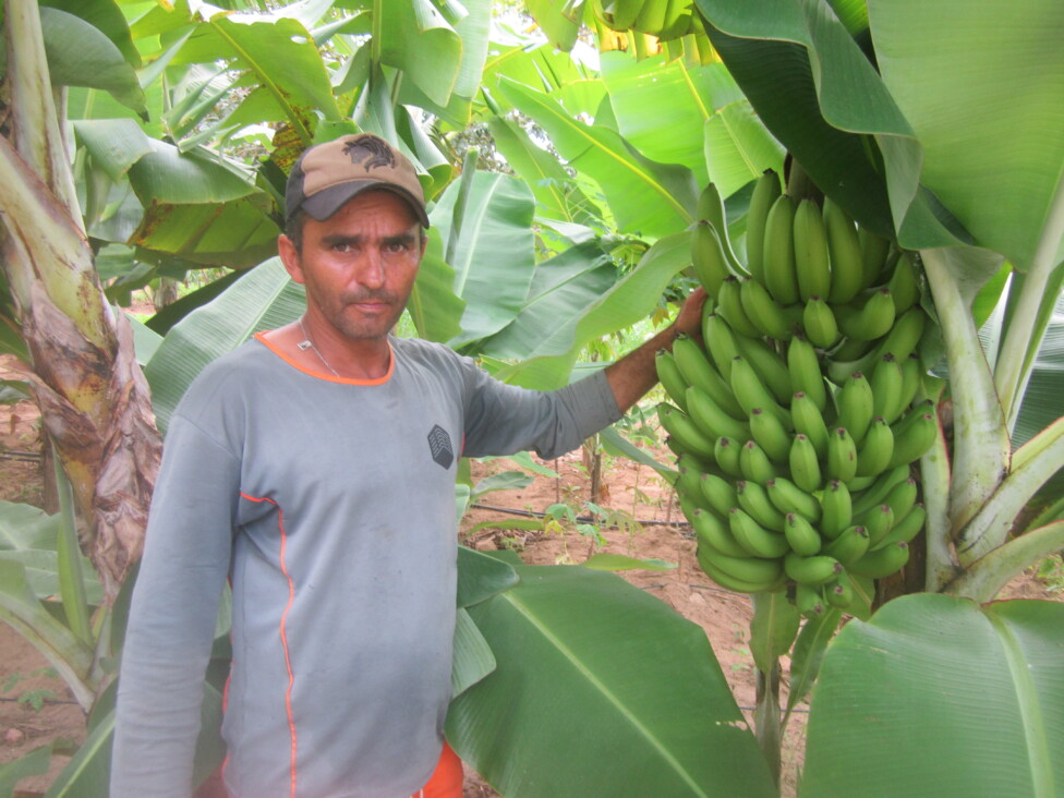 Captação de água impulsiona agricultura no semiárido brasileiro