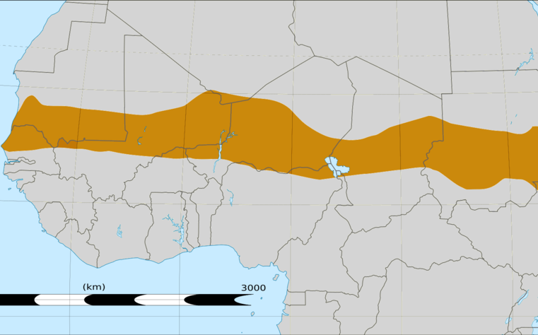 O que o golpe no Níger diz sobre a ajuda de segurança dos EUA no Sahel