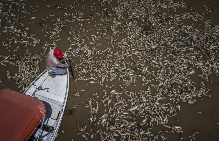 Reuters: “Brasil cria força-tarefa sem precedentes para enfrentar seca na Amazônia”, destaca Marina