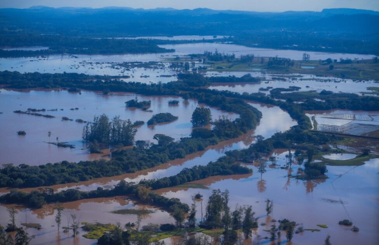 A Amazônia seca e o sul inundado, a tragédia climática no Brasil