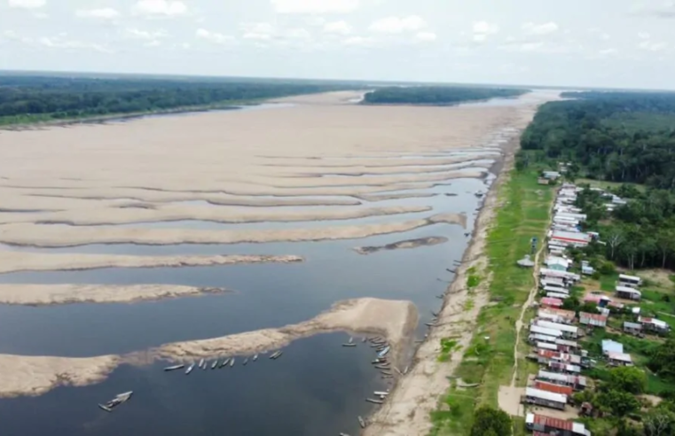 Amazônia, um bioma ameaçado de extinção?