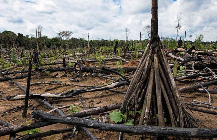 ONGs pedem a Lula que comprometa o G20 com ação climática