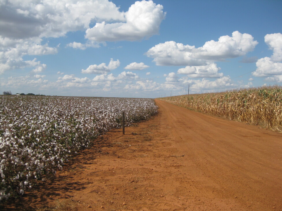 O crescimento agrícola brasileiro impede o acordo Mercosul-União Europeia?