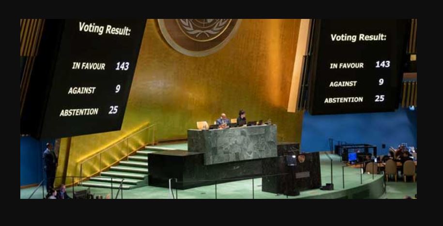 A Assembleia Geral reforça o estatuto da Palestina na ONU – com novos privilégios